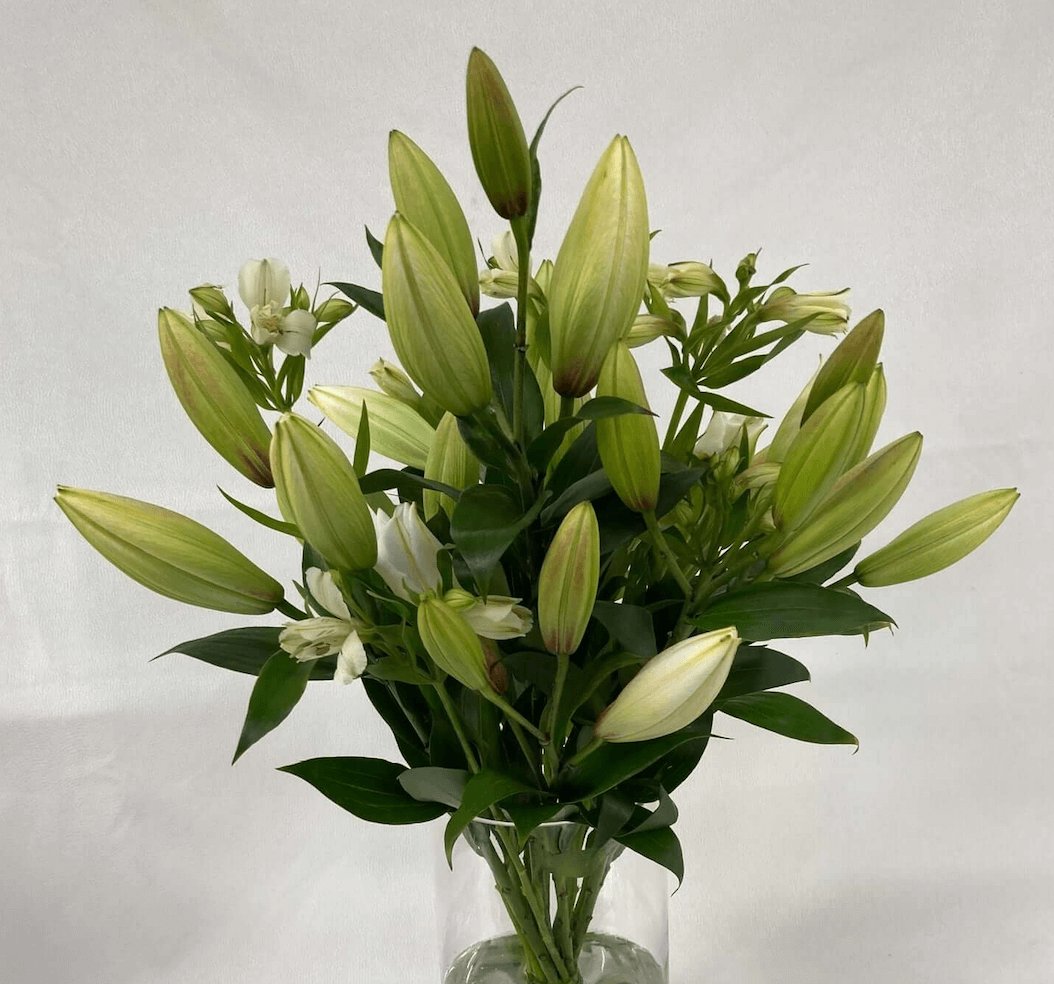 White Fragrant Lilies | Flower Delivery – Aromaunga Baxters Flowers